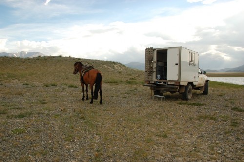Ein Pferd gehört in jeden besseren Mongolenhaushalt.JPG